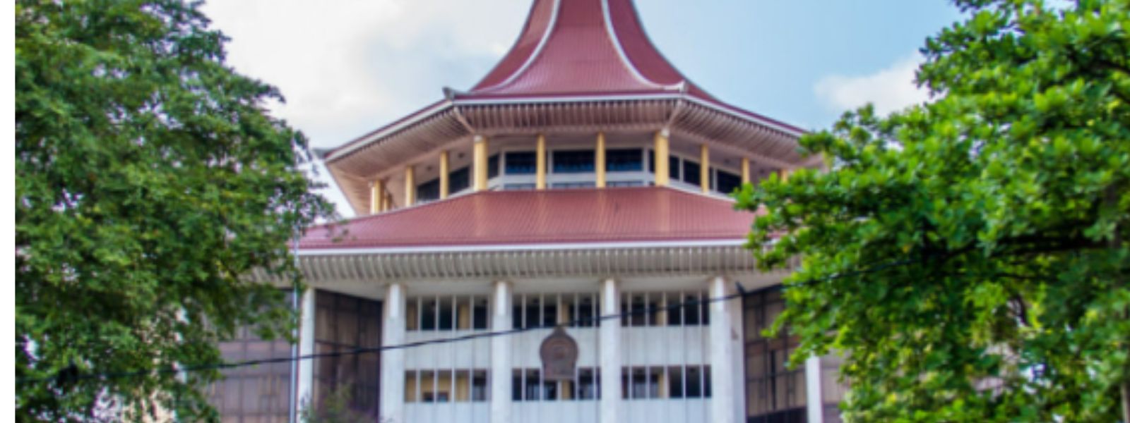 Gold-Colored Gun Case: Woman Released on Bail